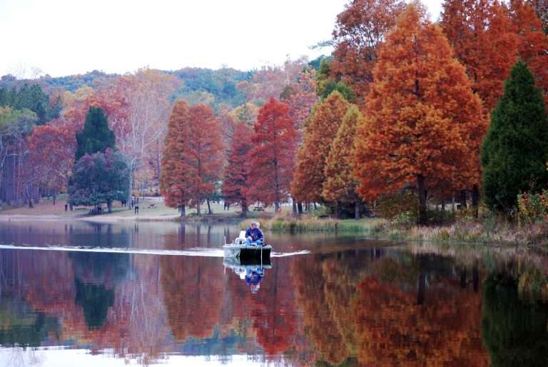 Ferdinand State Forest Visit Dubois County