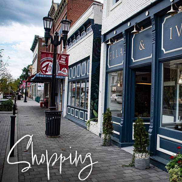 shopping-600x600-hburg