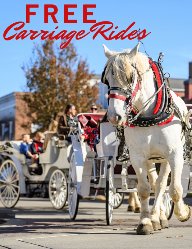 Carriage Rides on Huntingburg 4th Street